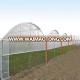 Cheap Galvanized Steel Frame poly film Greenhouse