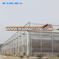 Agriculture Farming Polycarbonate Sheet Greenhouse