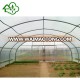 Best selling Poly Film agricultural greenhouse film