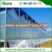 The best quality Multi-span PC sheet greenhouse