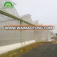 Butterfly greenhouse design/ economical multi-span greenhouse for sales