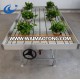 Rolling Bench Greenhouse System Ebb Table Flood Plastic Trays/Seeding