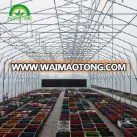 Galvanized steel frame Polytunnel greenhouse