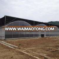 Hot Sale Vegetable Greenhouse for Tomato Lettuce