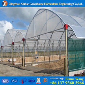 Plastic Film Greenhouse for Mushrooms