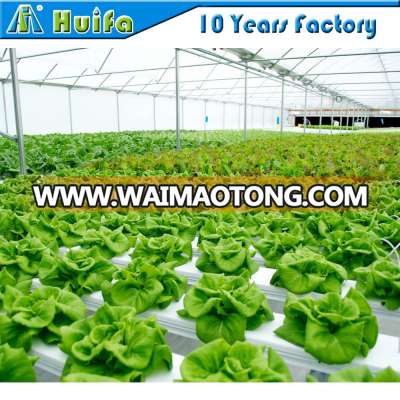 Versatile multi span Greenhouse for Hydroponic NFT system