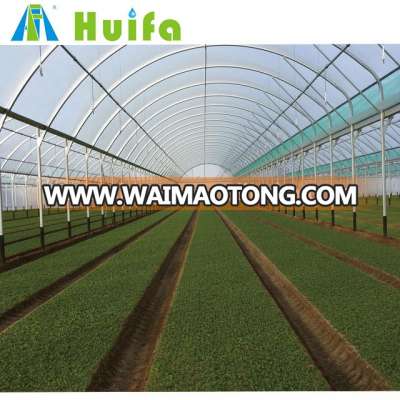 steel frame multi span greenhouse tunnel for agriculture