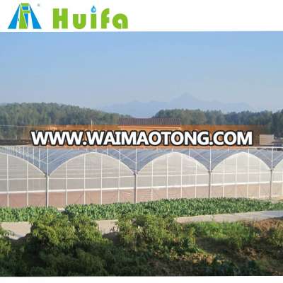 China Good Quality Multi Span Venlo Type Plastic PC Sheet Greenhouse for Tomato Cucumber