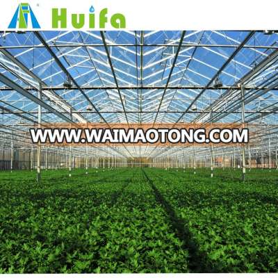 2018 New Agricultural Multi Span Plastic Greenhouse