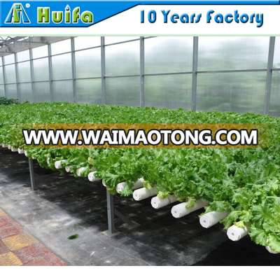 Hot sale Complete commercial hydroponic greenhouse systems for Vegetable