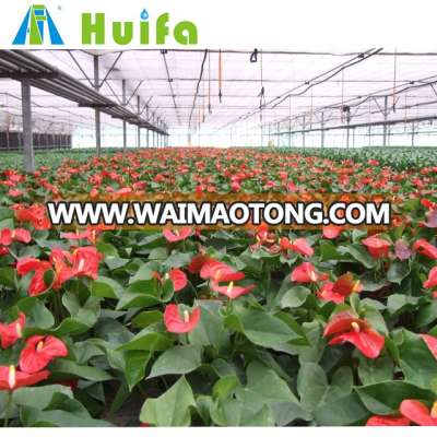 Manual film roller side ventilation single span greenhouse