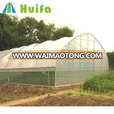 Plastic Film Vegetable seed Tunnel Greenhouse on Sale