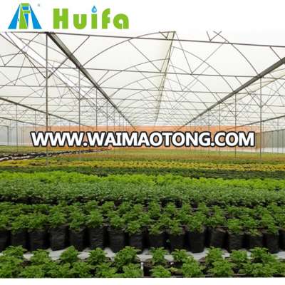 Agriculture Plastic Large Multi Span Greenhouse for Sale