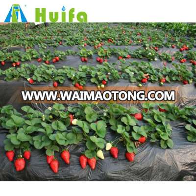 Hot galvanized steel wide span greenhouse vegetable greenhouse