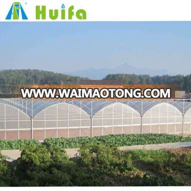 2018 tunnel plastic greenhouse film Multi Span Greenhouse for Vegetable