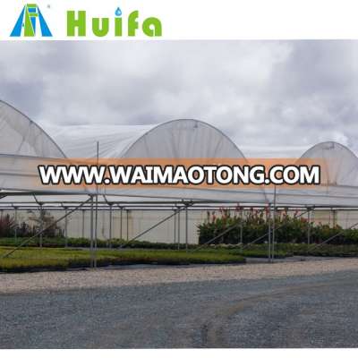 Agriculture Plastic Large Multi Span Greenhouse for Sale