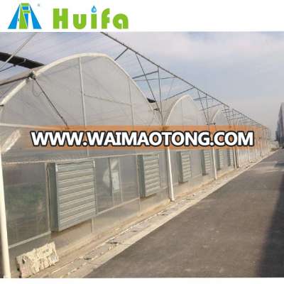 Hot sale 64x64m multi-span low cost greenhouse,commercial greenhouse for tomato