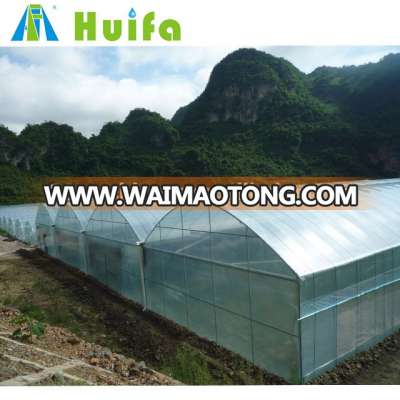 Low cost  multi span greenhouse for vegetable