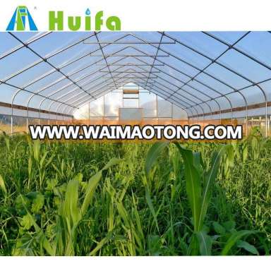 Hot Sale Agricultural Single-span Greenhouse China supplier