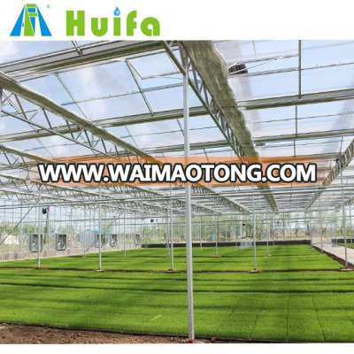 Long Life Span Polycarbonate Roof Multi Span Greenhouse