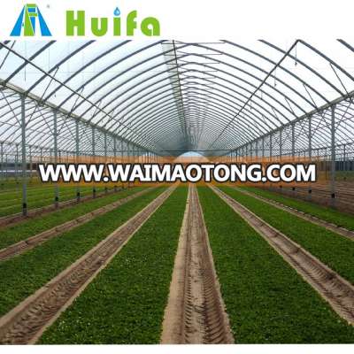 Hot sale Wide range multi span greenhouses for agriculture production