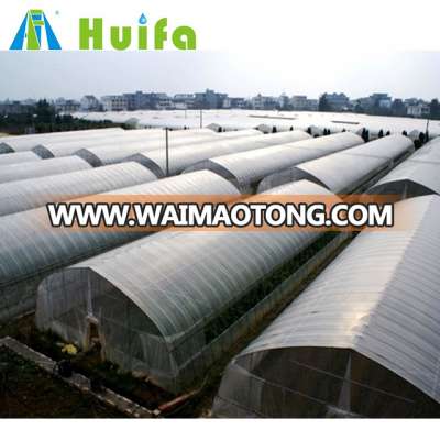 Agricultural Lettuce Seedlings plastic film Greenhouse