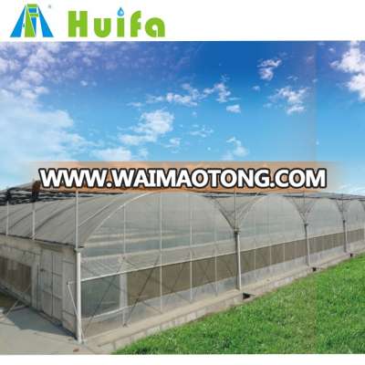 Galvanized Steel Frame And Base Multi Span Agricultural Greenhouses